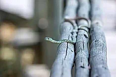 JVSpin casino aeb013